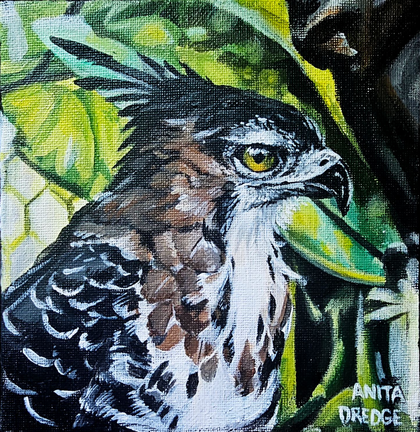 Ornate Hawk Eagle Painting | Acrylic on Canvas | 15cm x 15cm