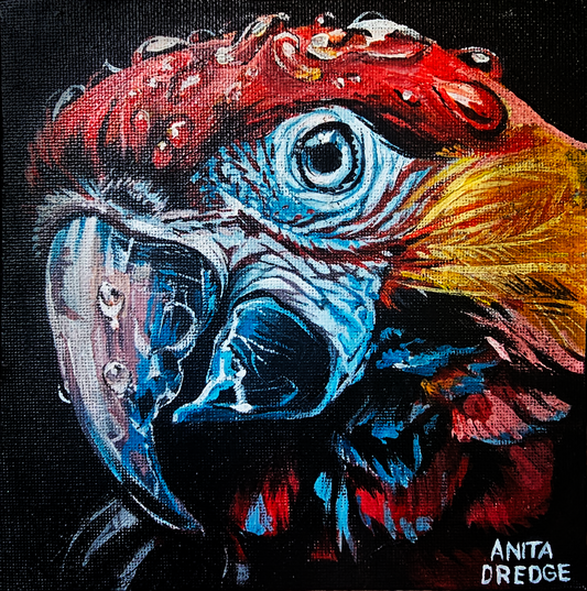 Parrot Painting | Acrylic on canvas | 15cm x 15cm