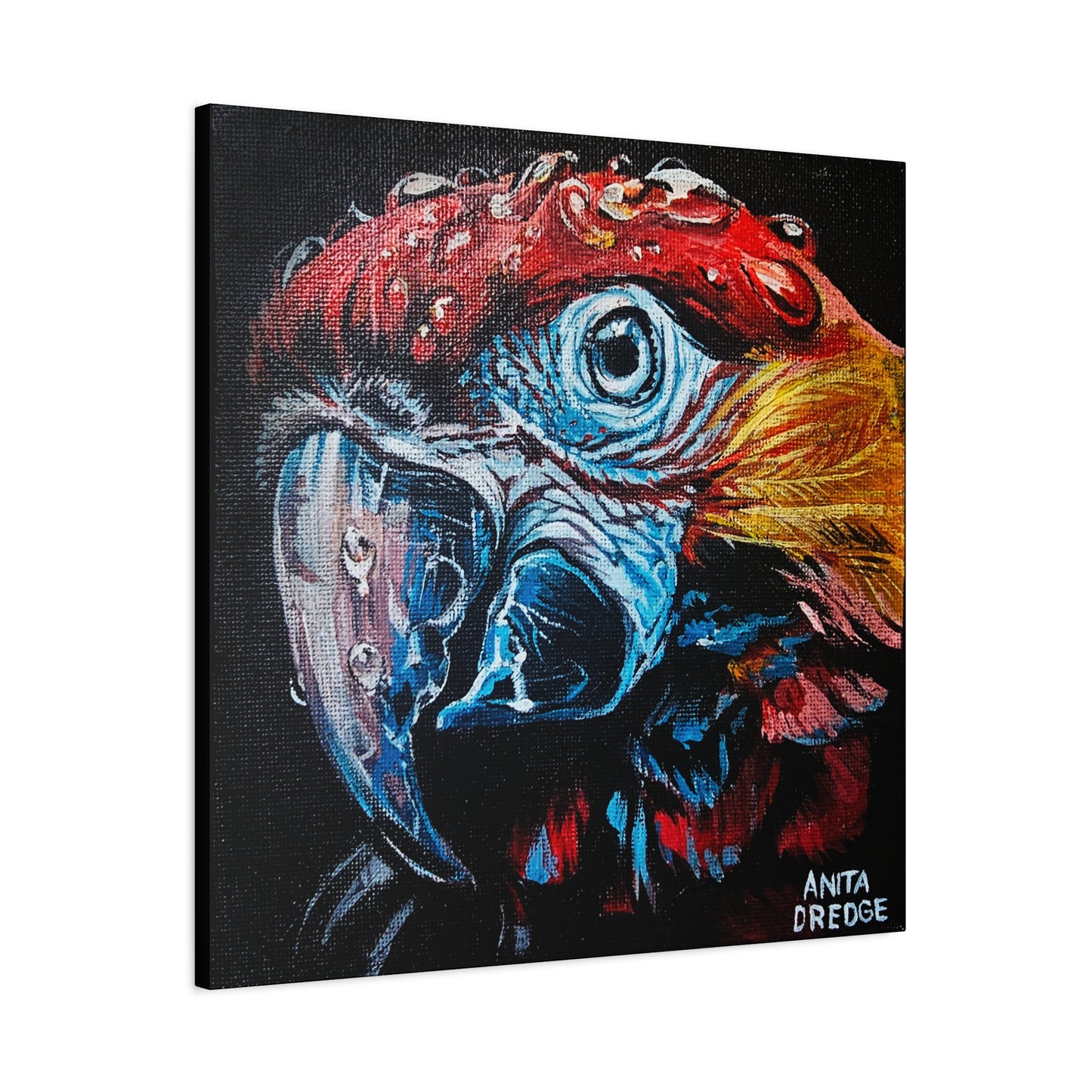 Parrot Canvas Print | Original Artwork