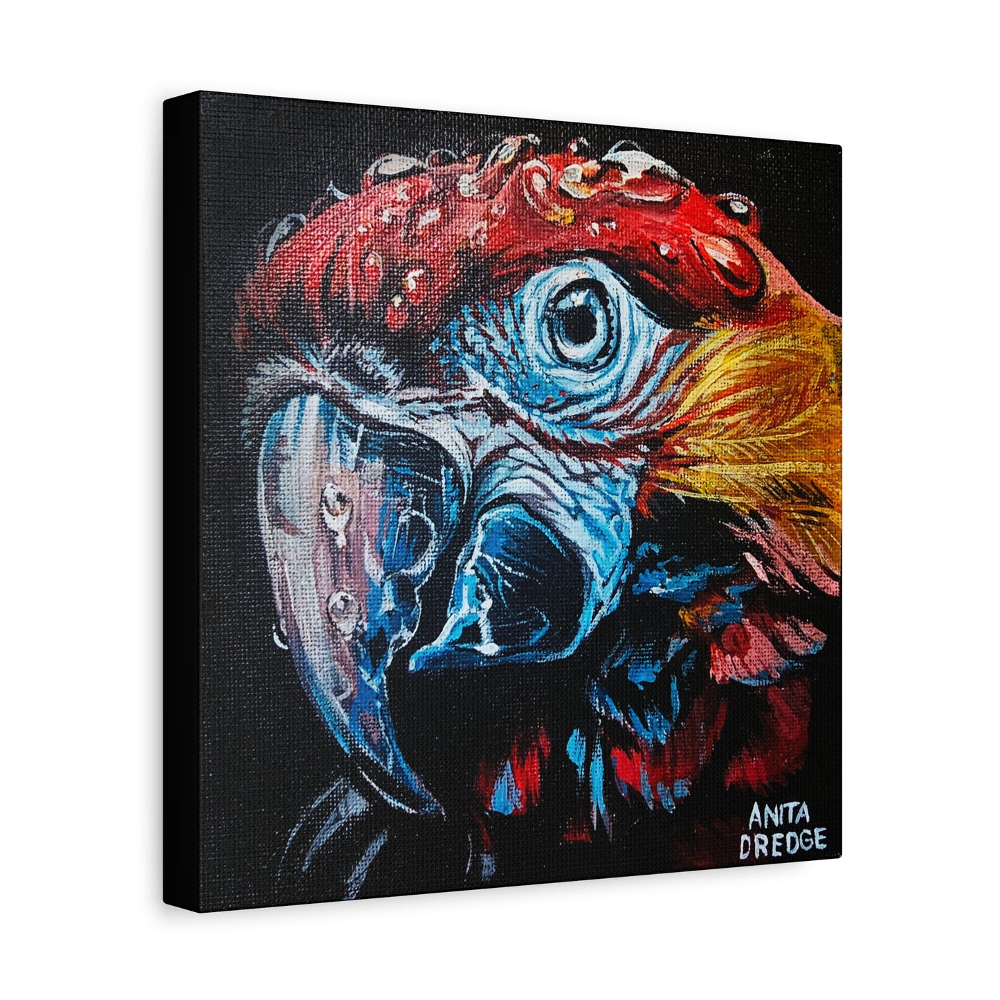 Parrot Canvas Print | Original Artwork