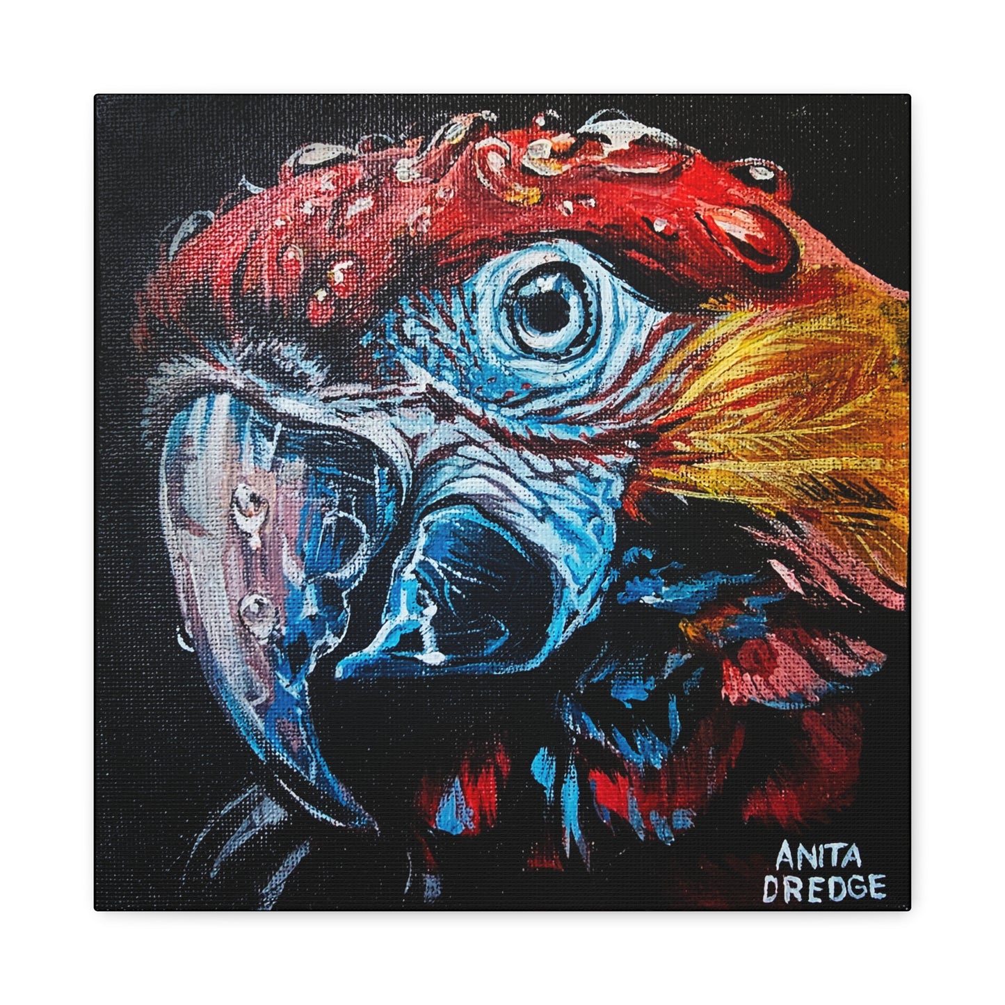 Parrot Canvas Print | Original Artwork