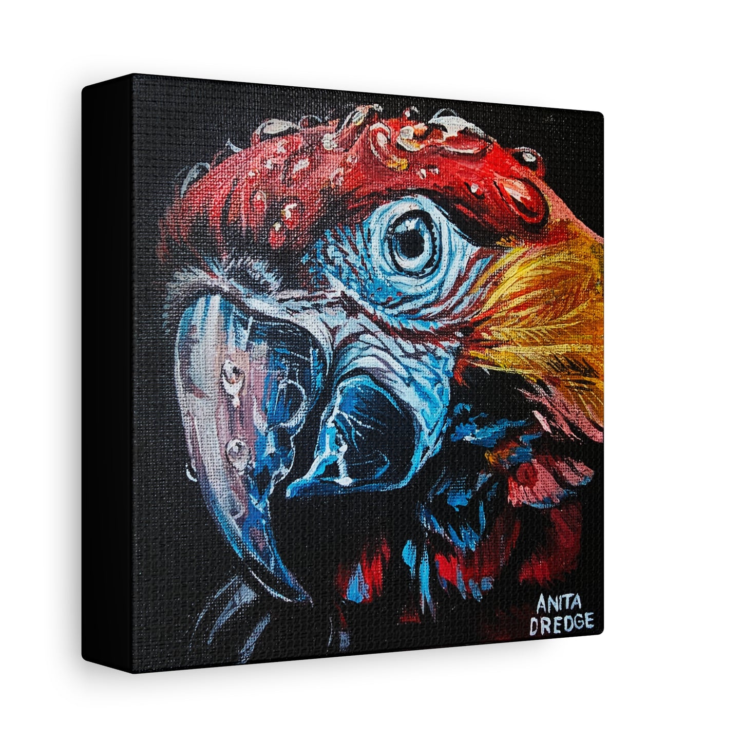 Parrot Canvas Print | Original Artwork