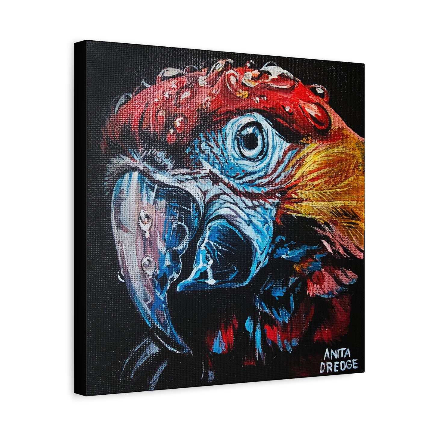 Parrot Canvas Print | Original Artwork