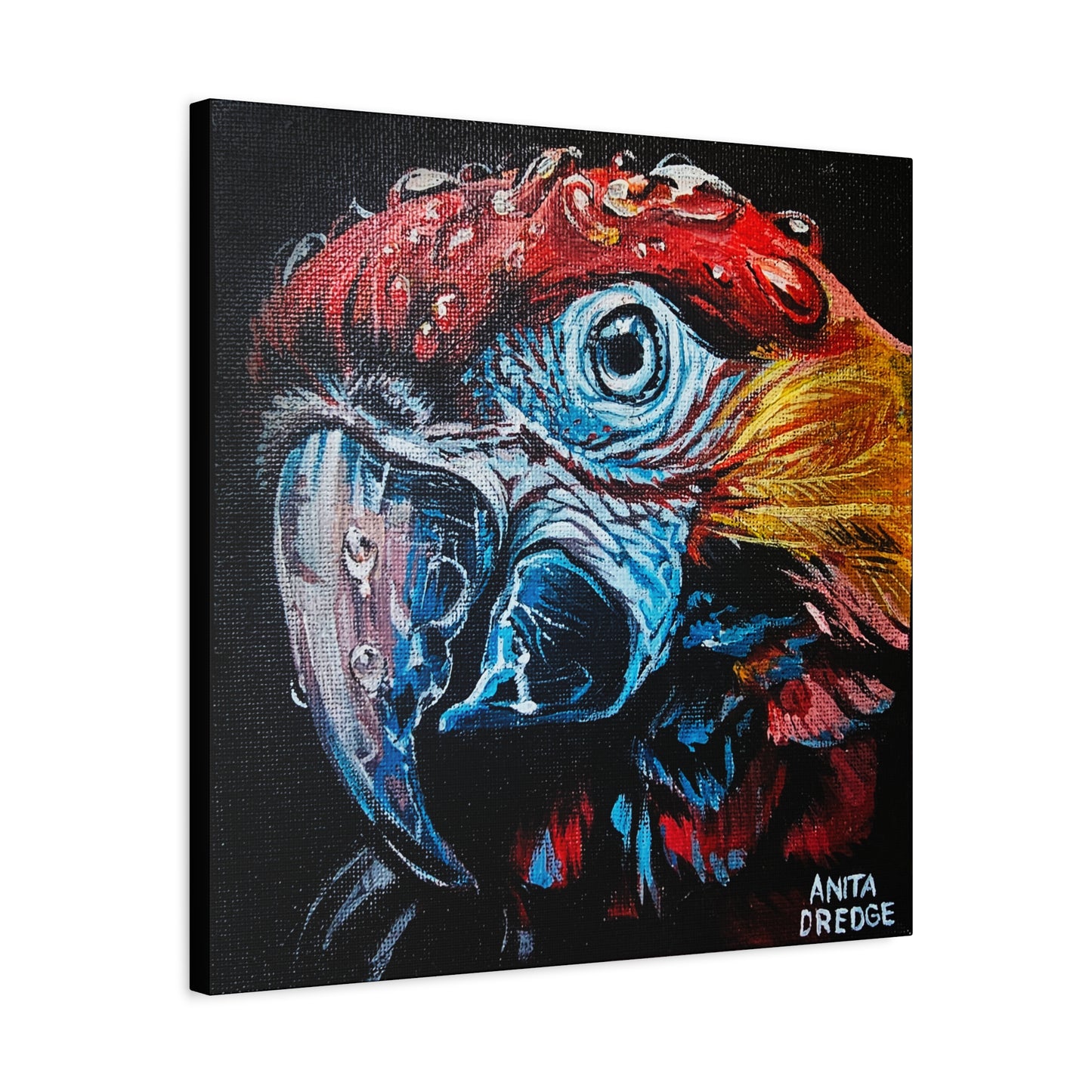Parrot Canvas Print | Original Artwork