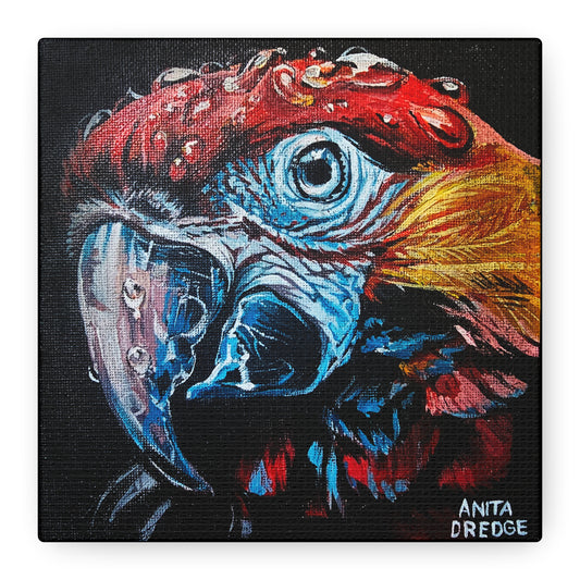 Parrot Canvas Print | Original Artwork
